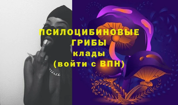 амф Аркадак