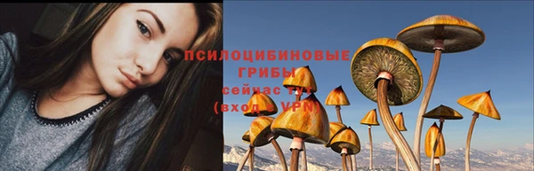 кокс Арсеньев