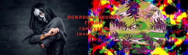 амф Аркадак
